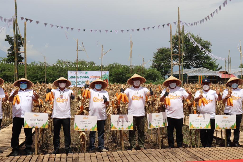 Ridwan Kamil Intruksikan Agro Jabar Genjot Produksi Jagung