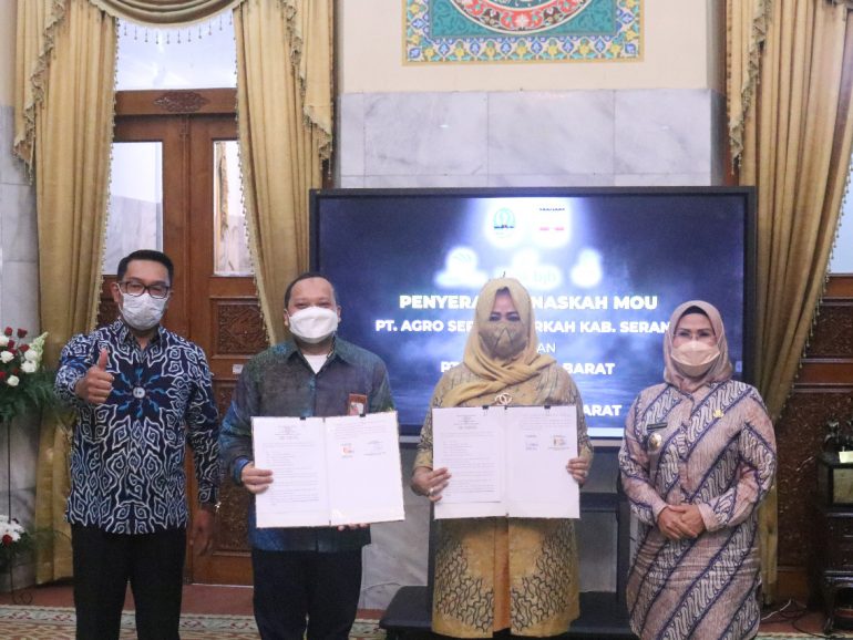 Jalin Kerja Sama dengan Banten, Agro Jabar Siapkan 1000 Ton Bibit Jagung